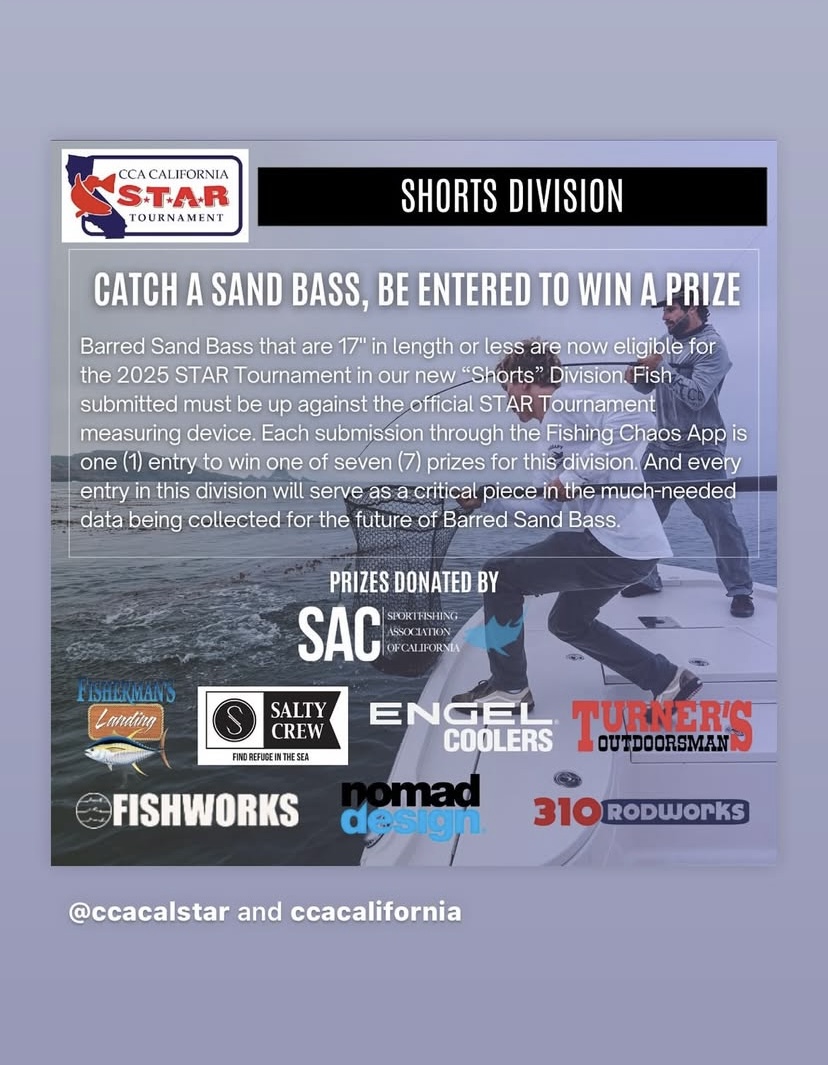Shorts Division poster