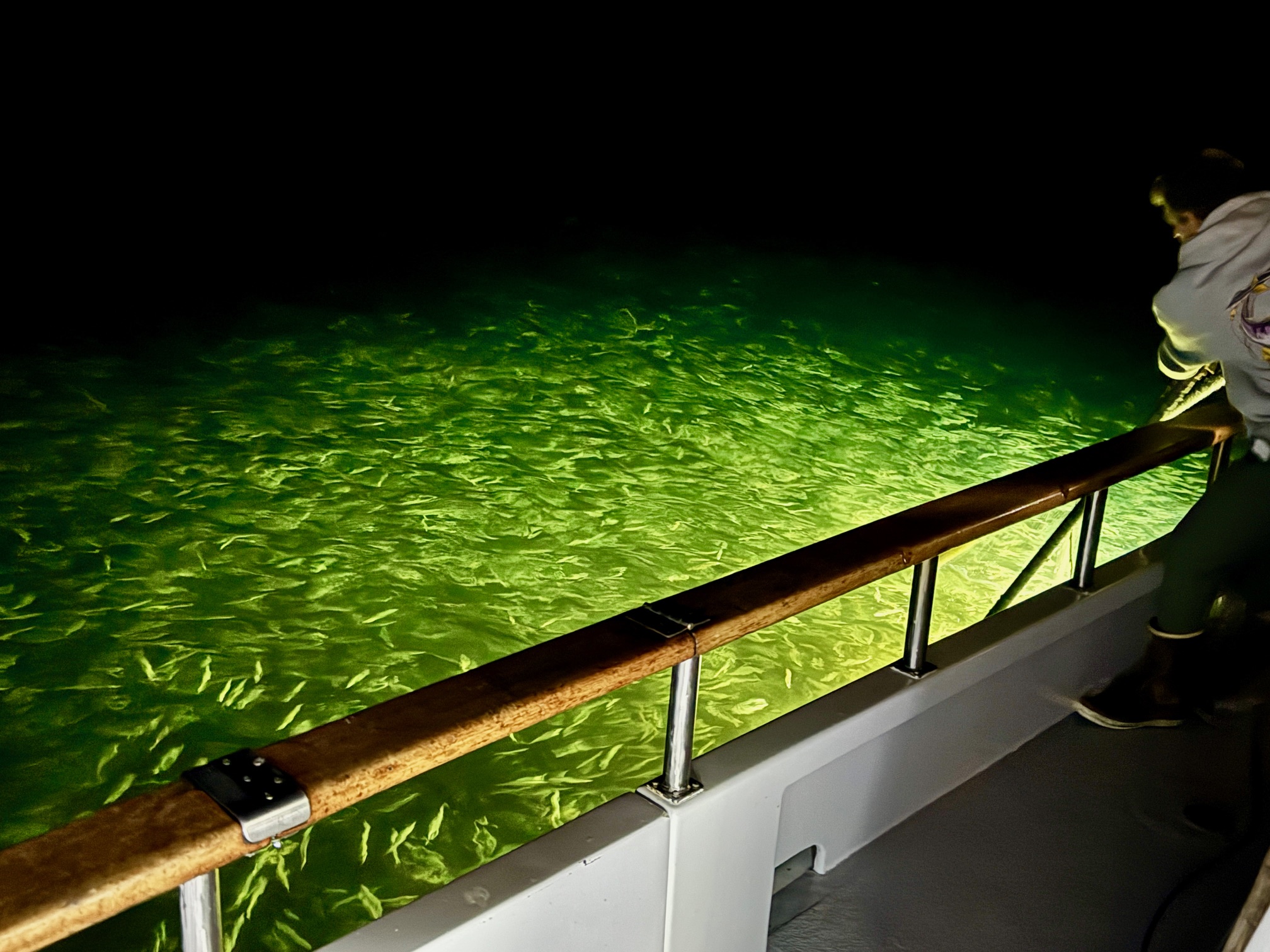 2026 sbsportfishing picture