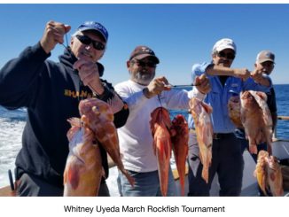 sport fishing tournament March 2019